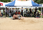 [풍년아 와라, 단오한마당] 매년 뜨거운 관심 단오한마당 씨름대회