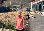 [춘풍에 바람개비 날리는 다리골] 봄나물 캐온 김옥례 어르신